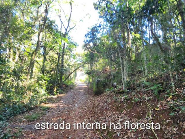Chácara para Venda em Bragança Paulista - 5