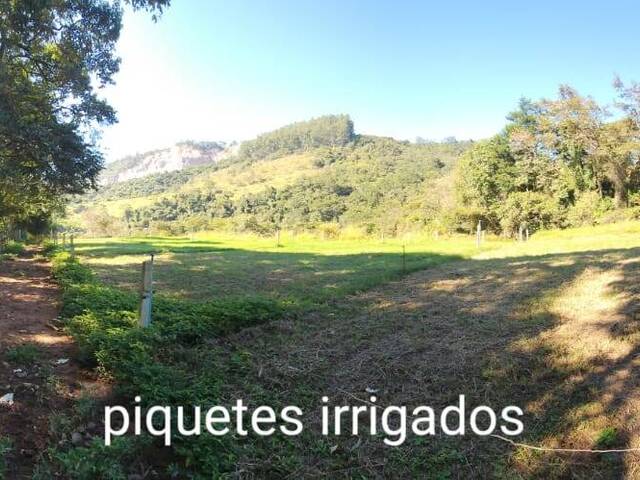 #SITIO 001 - Chácara para Venda em Bragança Paulista - SP - 3
