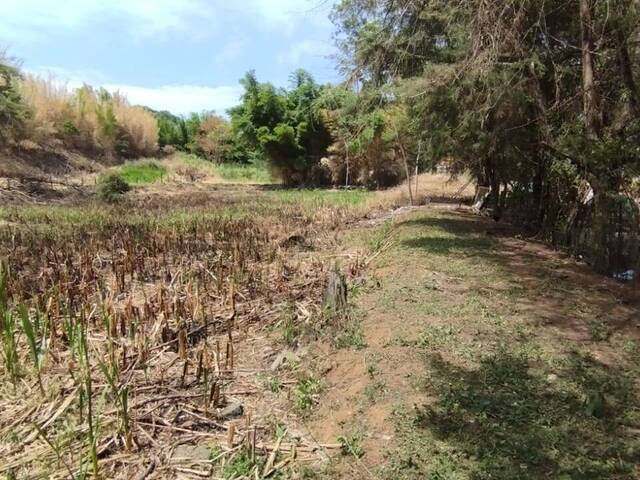 #TER-036 - Terreno para Venda em Atibaia - SP - 3
