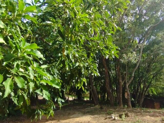#TER-038 - Terreno para Venda em Atibaia - SP - 3