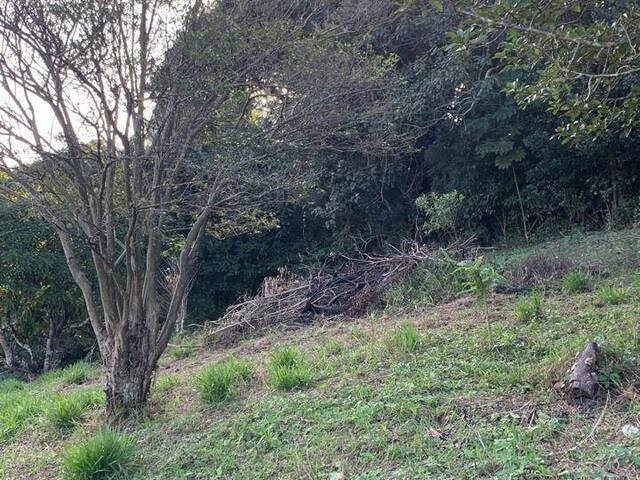 Chácara para Venda em Atibaia - 5