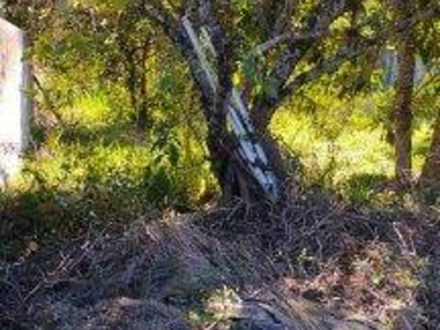 Venda em Loteamento Vale das Flores - Atibaia