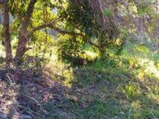 #TER-059 - Terreno para Venda em Atibaia - SP - 2