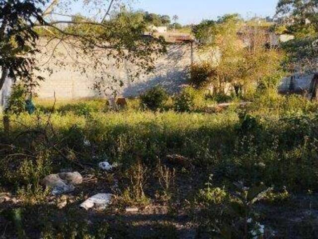 #TER-060 - Área para Venda em Atibaia - SP - 1