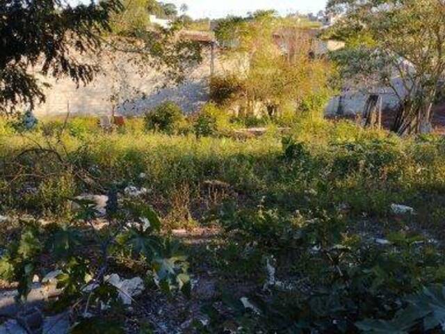 #TER-060 - Área para Venda em Atibaia - SP - 3