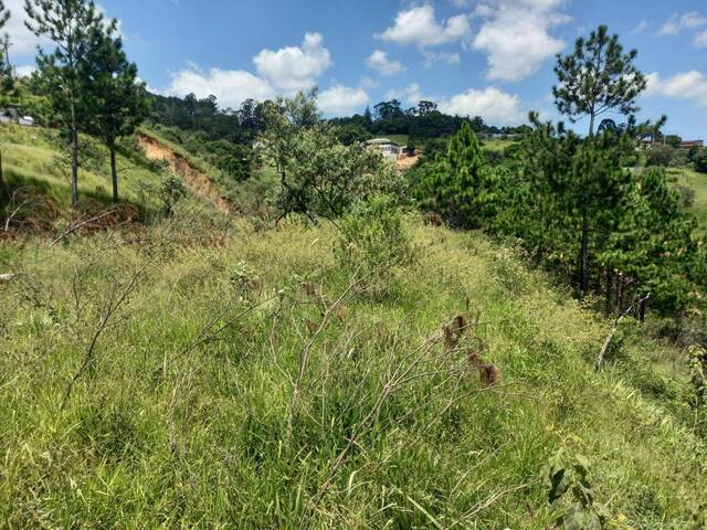 #TER-085 - Terreno para Venda em Atibaia - SP - 2