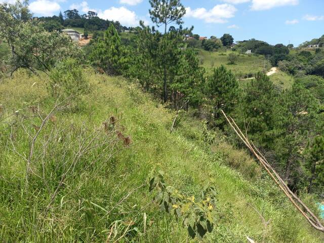 #TER-085 - Terreno para Venda em Atibaia - SP - 3