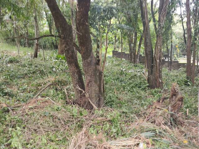 Área para Venda em Atibaia - 5