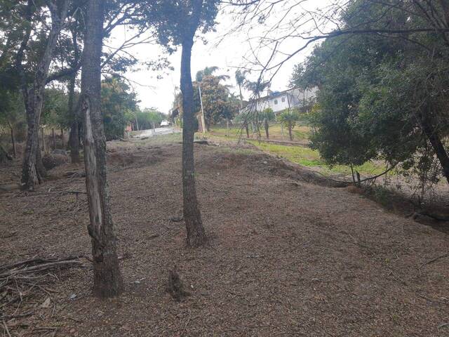 #TER-112 - Área para Venda em Atibaia - SP - 3